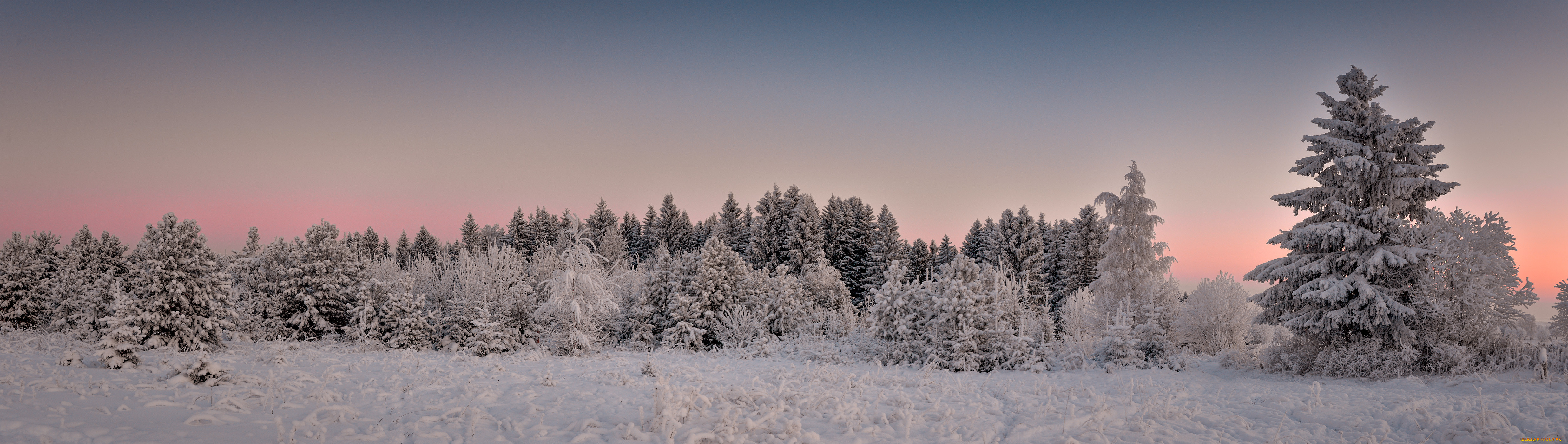 Зима длинная. Зима панорама. Зимний пейзаж панорама. Зимний лес панорама. Природа зима панорама.